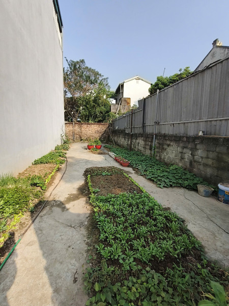 Đất Thanh Sam, Trường Thịnh, 72m2, nở hậu, ôtô KD, 2.35 tỷ Ứng Hòa