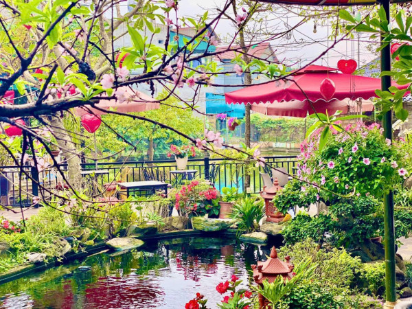 Sang nhượng quán cà phê sân vườn không gian xanh cực đẹp, giá yêu thương