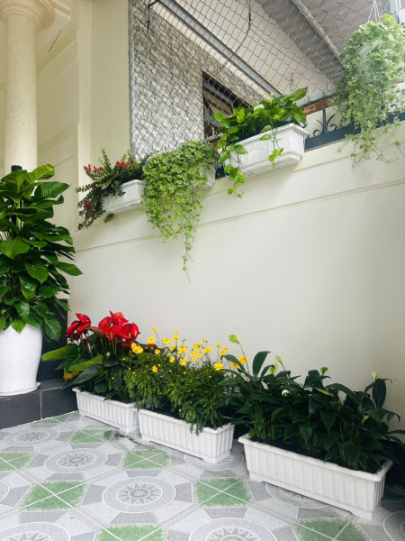 Đất Diên Khánh – Cách Võ Nguyên Giáp 100m – Giá Chỉ Từ 1 Tỷ