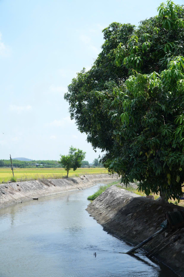 🔥 săn ngay lô đất view kênh đồng lúa siêu chill 🔥
