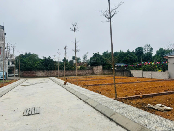 CẮT LỖ DIỆN TÍCH 7X14M, CẦN LIÊN HỆ SDT ;0983061599