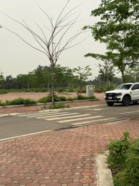 Tài chính nhỉnh 1 tỷ cơ hội sở hữu 100m đất full thổ cư tại Hoà Lạc