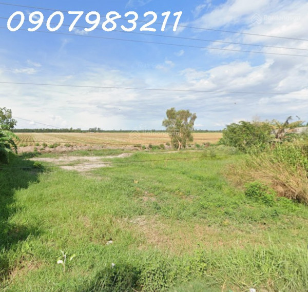 Bán đất thổ cư 4000m2, mặt tiền ĐT 844, Phú Cường, Tam Nông, Đồng Tháp. Sổ đỏ chính chủ, 26 tỷ.