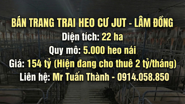 Trại Heo 22ha Lãi Ngay 2 Tỷ/Tháng