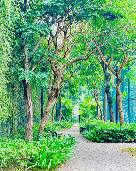 2🏡✨ LIỀN KỀ CEOHOMES HANA GARDEN – KHÔNG GIAN SỐNG ĐA NĂNG, KHAI THÁC LINH HOẠT
