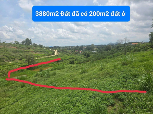 Bán đất 198m2 đất  tổ 34 - thị trấn Liên Nghĩa - Đức Trọng - Lâm Đồng 2 tỷ