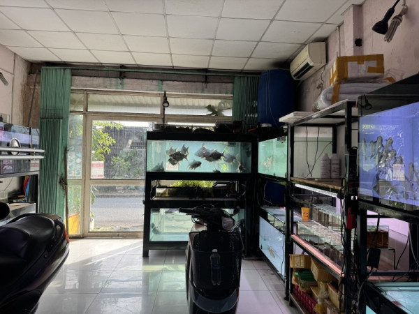 Bán nhà đường số 53, Hiệp Bình Chánh, Thủ Đức, TP HCM. DT  51m2, 4 tầng, giá 5.93 tỷ, sổ hồng