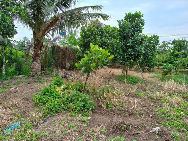 BÁN NHÀ TẠI XÃ PHÙ LƯƠNG, HUYỆN QUẾ VÕ, TỈNH BẮC NINH.