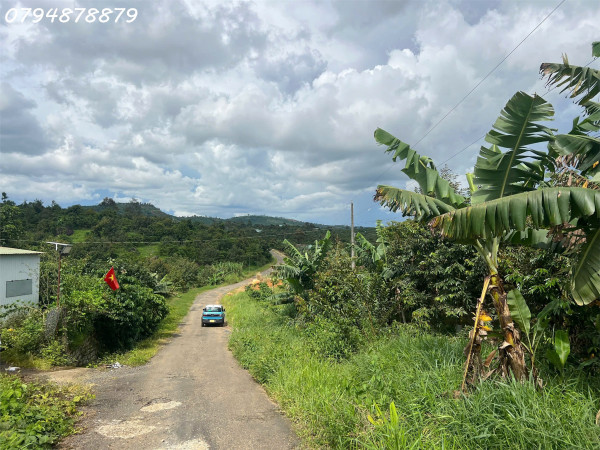 🌳 CẦN BÁN ĐẤT LỘC ĐỨC