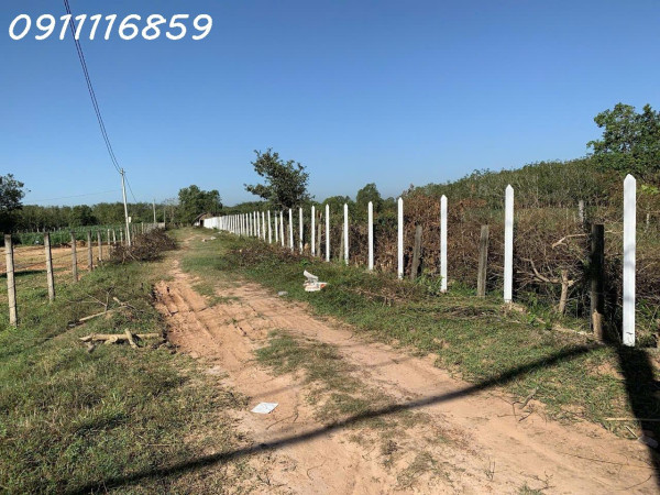 Sun Valley Thiên Đường nghĩ Dưỡng Bảo Lộc Lâm Đồng