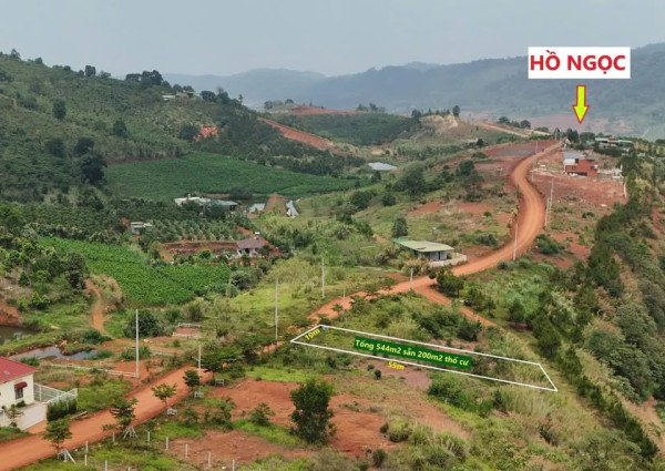 MT ĐƯỜNG 9M, 544m2 (200m2 ONT) HÒN ĐÁ BẢO LÂM - HỒ NGỌC